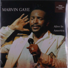 Gaye, Marvin - Alive In America