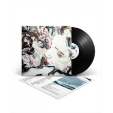 Iceage - For Love of Grace & the Hereafter