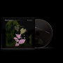 Lanois, Daniel - Belladonna Nocturne