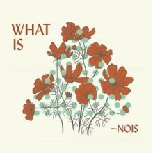 Nois - What is ~Nois?