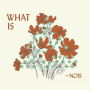 Nois - What is ~Nois?