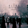 Bleak Picture - Meaningless