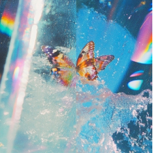 Daphni - Butterfly