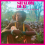 King Tubby & Aggrovators - Shalom Dub