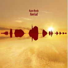 Bush, Kate - Aerial