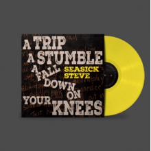 Seasick Steve - A Trip, a Stumble, a Fall Down On Your Knees