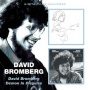Bromberg, David & His Big Band - David Bromberg/Demon In Disguise