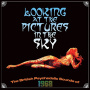 V/A - Looking At the Pictures In the Sky