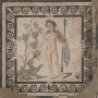 Asm - The Frenzy of Bacchus