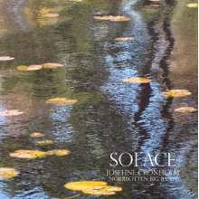 Cronholm, Josefine - Solace