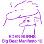 Burns, Eden - Big Beat Manifesto Vol. Xii