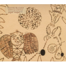 Banhart, Devendra - Rejoicing In the Hands