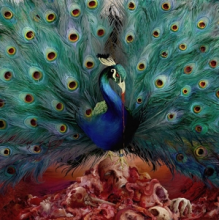 Opeth - Sorceress