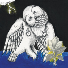 Songs: Ohia - The Magnolia Electric Co (Deluxe)