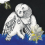 Songs: Ohia - The Magnolia Electric Co (Deluxe)