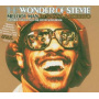 Stevie Wonder - Melody Man