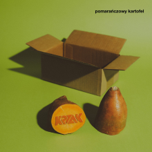 Krzak - Pomarańczowy Kartofel