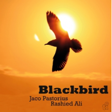 Jaco Pastorius & Rashied Ali - Blackbird