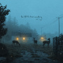Kennedy, Dermot - I've Told the Trees Everything