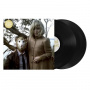Head and the Heart - The Head and the Heart