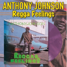 Johnson, Anthony - Reggae Feelings