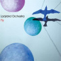 Ladybird Orchestra - Fly