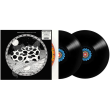 Modest Mouse - An Eraser And A Maze LP BLACK