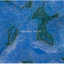 Sakanaction - 834,194