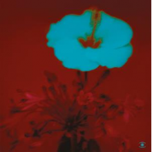 Beltran, John - Sunrise and the Way We Live