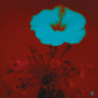 Beltran, John - Sunrise and the Way We Live