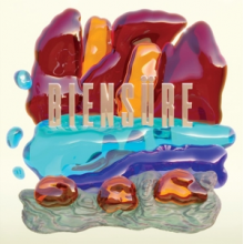 Biensure - Biensure