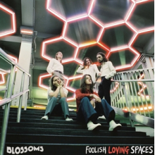 Blossoms - Foolish Loving Spaces