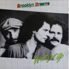 Brooklyn Dreams - Won T Let Go