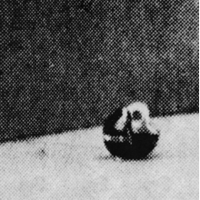 Conformists - Midwestless