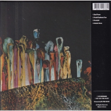 Continuum - Autumn Grass