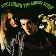 Leathercoated Minds - A Trip Down the Sunset Strip