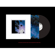 Look Outside Your Window - Look Outside Your Window LP