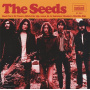 Seeds - Bad Part of Town