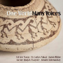 V/A - One World Many Voices - Native American Music