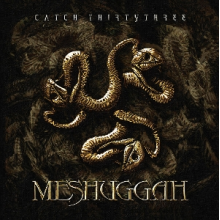 Meshuggah - Catch Thirty Three