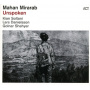 Mirarab, Mahan - Unspoken