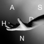 Bird, Wallis - Hands