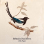 Inflatable Dead Horse - Hello Magpie