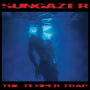 Temper Trap - Sungazer