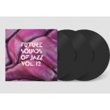 V/A - Future Sounds of Jazz Vol. 12