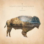 Heartless Bastards - Arrow LP