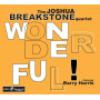 Joshua Breakstone Quartet - Wonderful!