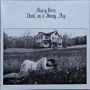 Owen, Maisy - Dark On a Sunny Day