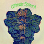 Ultimate Spinach - Ultimate Spinach