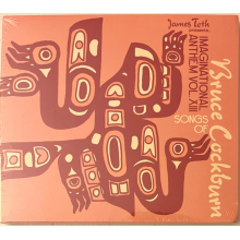 V/A - James Toth Presents... Imaginational Anthem Vol. Xiii: Songs of Bruce Cockburn